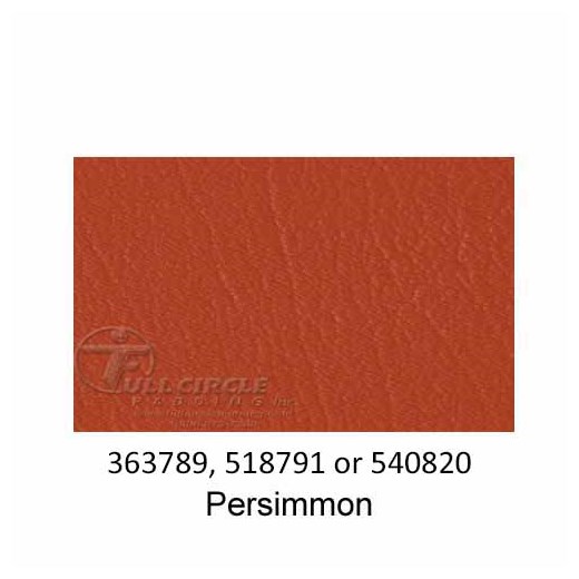 540820-Persimmon-2022