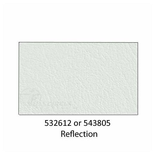 543805-Reflection-2022