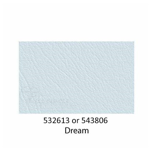 543806-Dream-2022