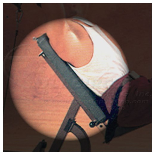 5641TricepsExtensionBackPad