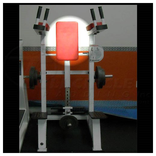 A269StandingCrunchBack