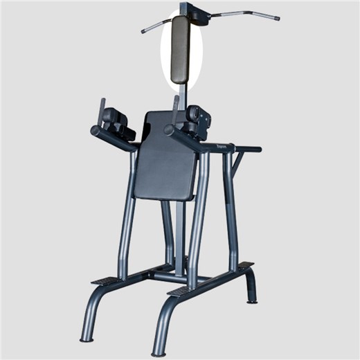 A63C-Dip-Chin-Leg-Raise-LR-Head-MAGN049