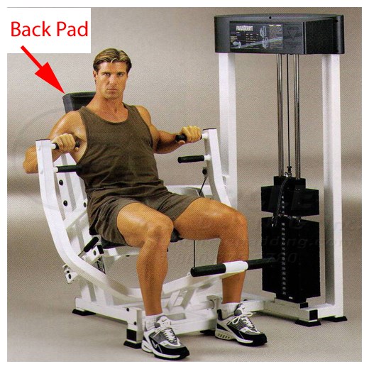 AP2600SeatedChestBack