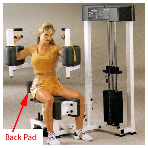 AP300RotaryTorsoBack