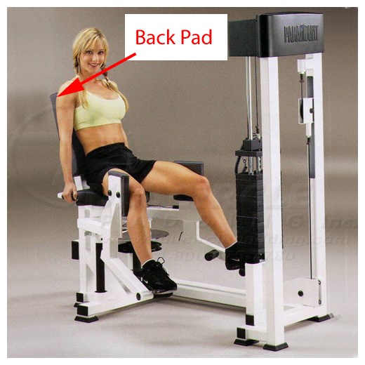 AP3900HipAbductor500Back
