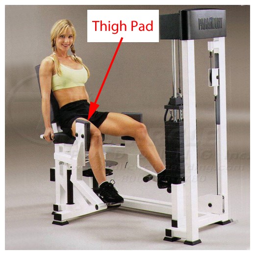 AP3900HipAbductor500Thigh