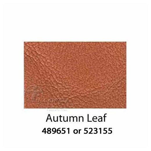 AutumnLeaf2015