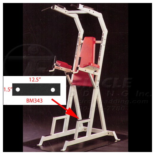 BE229LegRaiseBM343