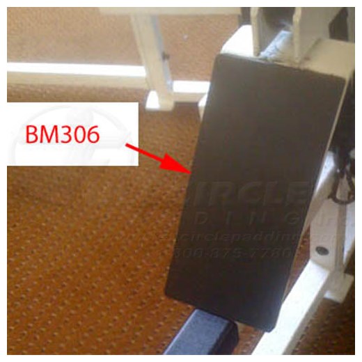 BM306Guard