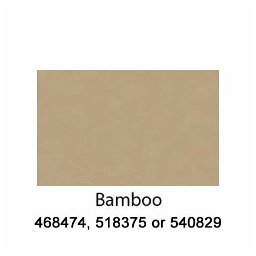 Bamboo-540829-2022