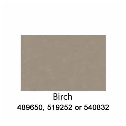 Birch-540832-2022