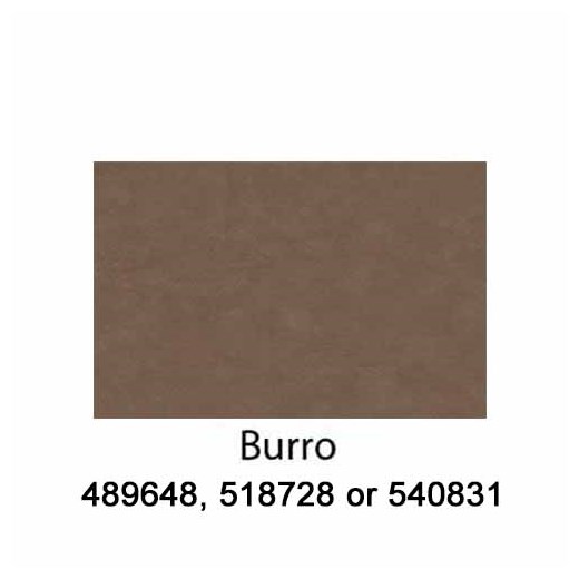 Burro-540831-2022