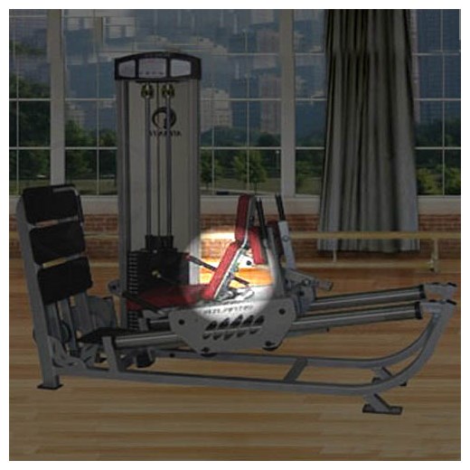 C403legpressBack
