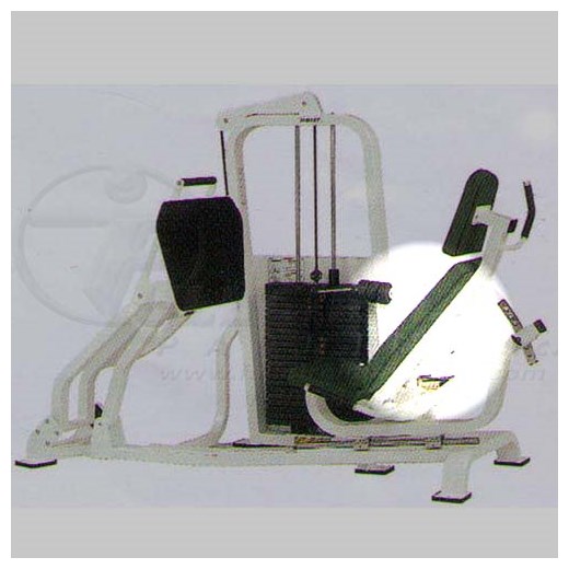 CL2403SeatedLegPressBack