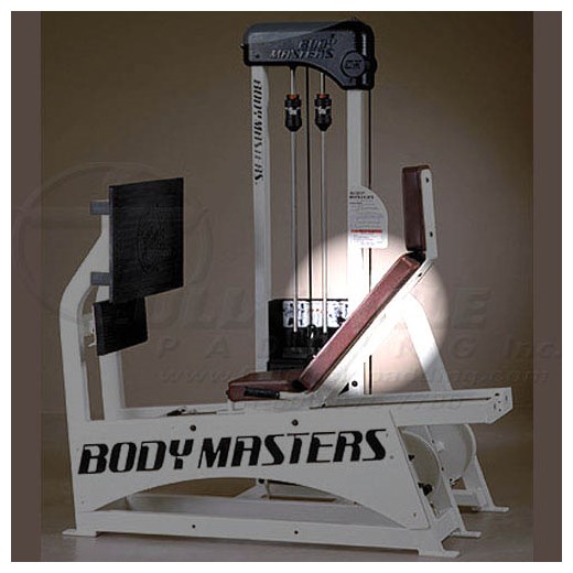 CX123LegPressBack