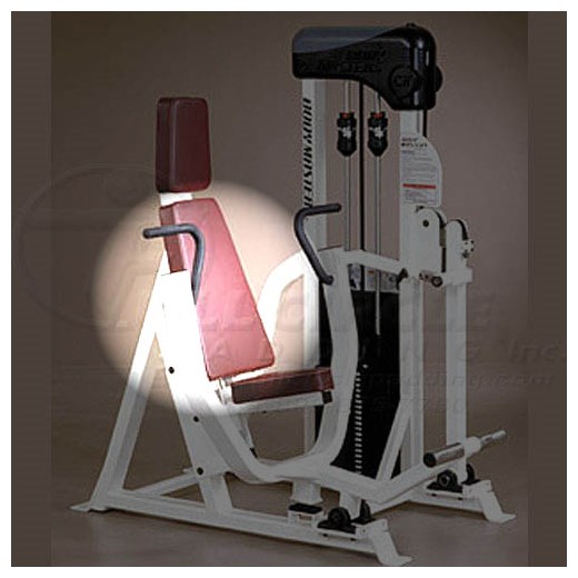 CX310VertChestPressBack