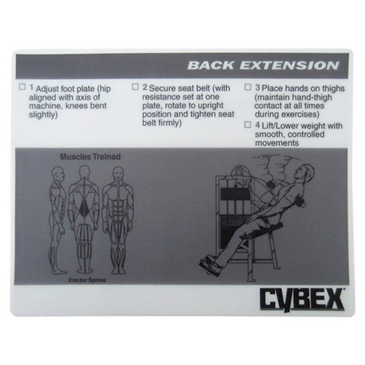 CYW511-Decal