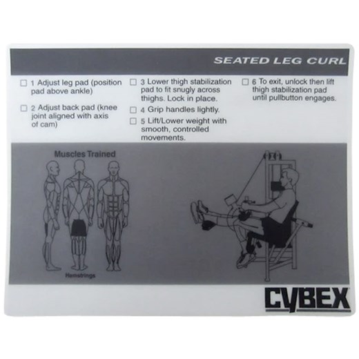 CYW524-Decal