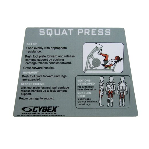 CYW528-Squat-Press-Placard