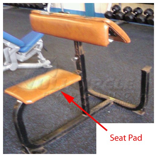 ChampionPreacherSeat