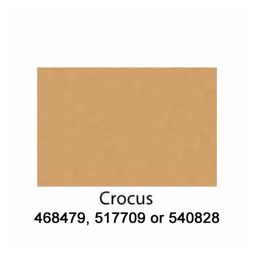 Crocus-540828-2022
