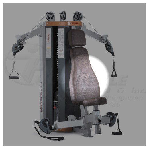 DFT5000ShoulderChestBack