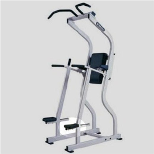 F2CD-Leg-Raise-Chin-Dip-NA566