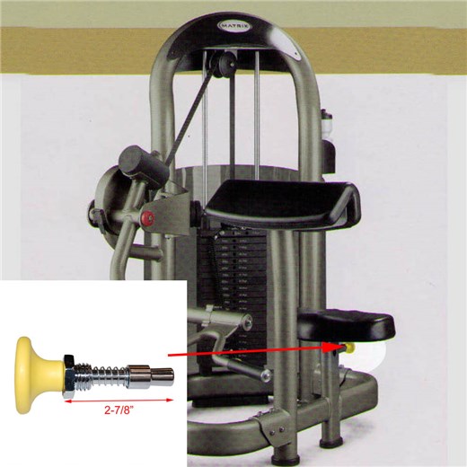 G2S40-Arm-Curl-MAT400