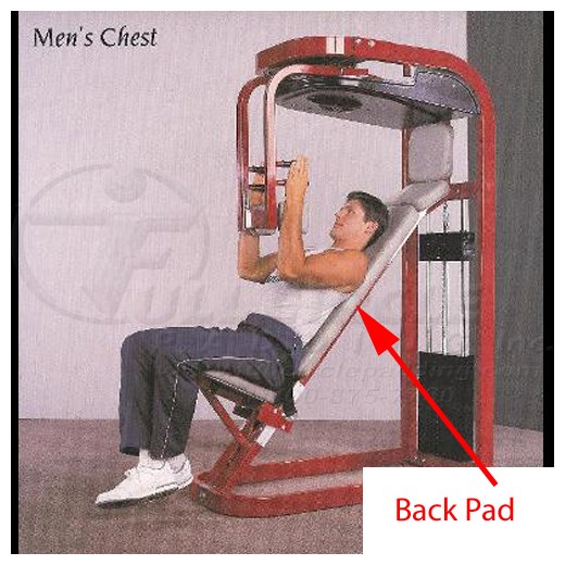 GenMensChestBack