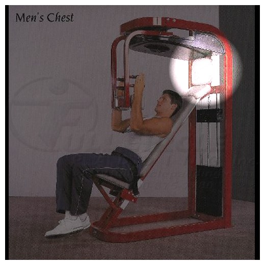 GenMensChestUpperHead