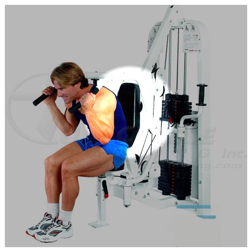 HD1300AbdominalPecFlyBack