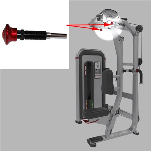 IPPF3-Pec-Fly-Rear-Delt-STAR325