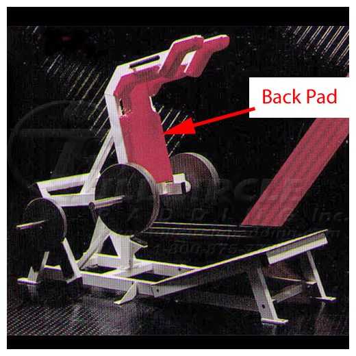 LE409PowerSquatBack