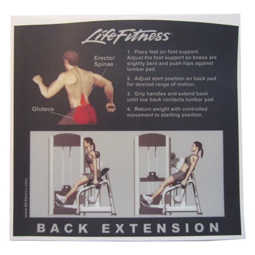 LF171-FZBE-Back-Extention-Instruction-Decal