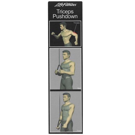 LF823-Triceps-Pushdown-Placard-2025