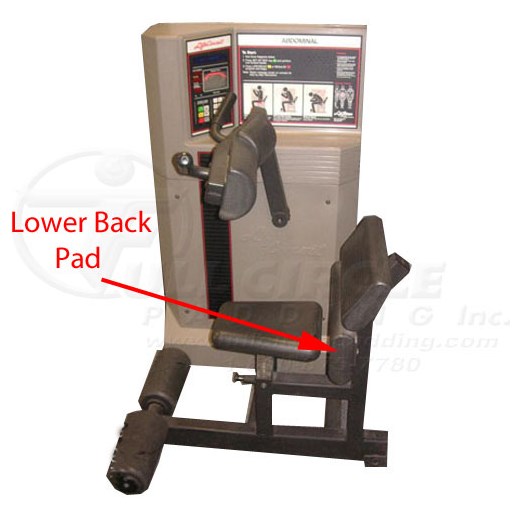 LifeCircuitAbdominalLowerBack