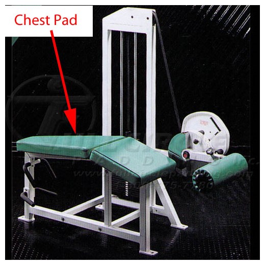 MD111LegCurlChest