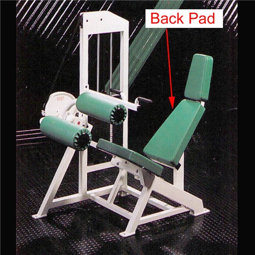 MD118_Seated_Leg_Curl_Back