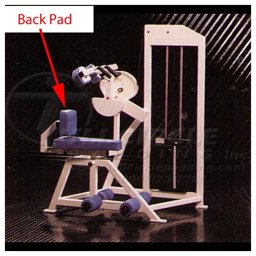 MD220AbdominalBack
