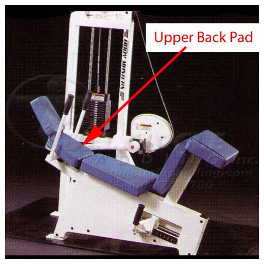 MD221AAbdominalCrunchUpBack