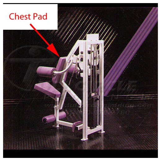 MD321LateralRaiseChest