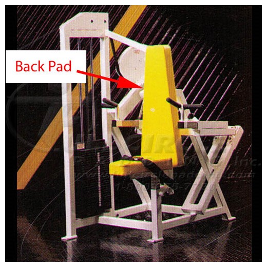 MD420TricepsPressBack