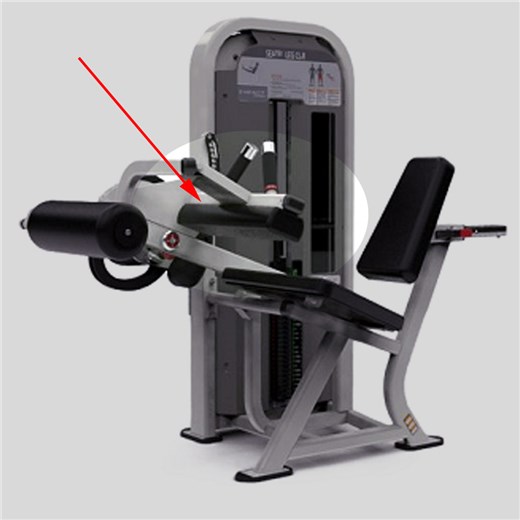 NAS1314-Seated-Leg-Curl-Thigh