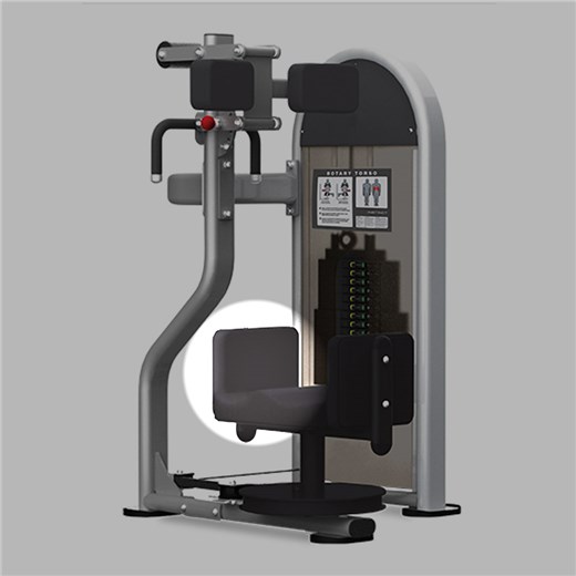 NLS6300RotaryTorsoThigh