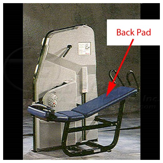 NextGenLowerAbdominalBack