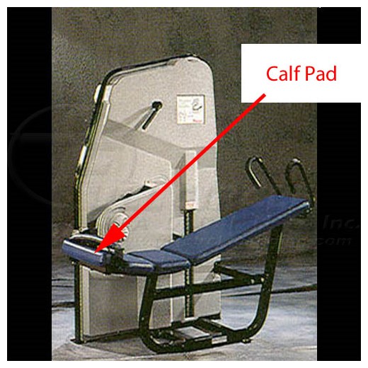 NextGenLowerAbdominalCalf
