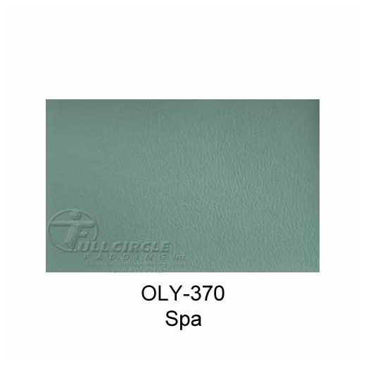 OLY370Spa