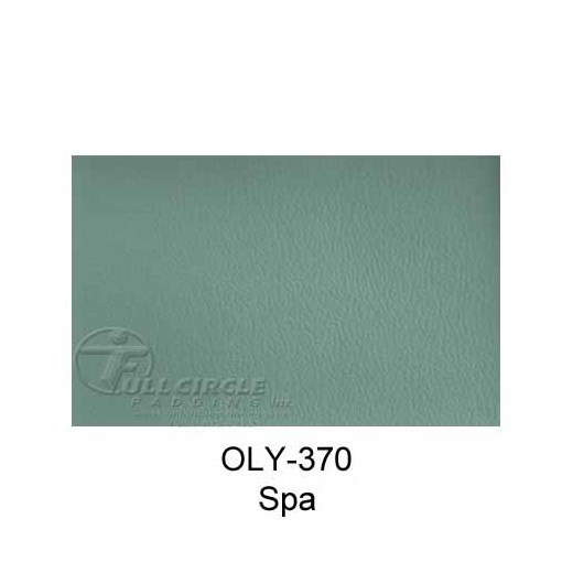 OLY370Spa