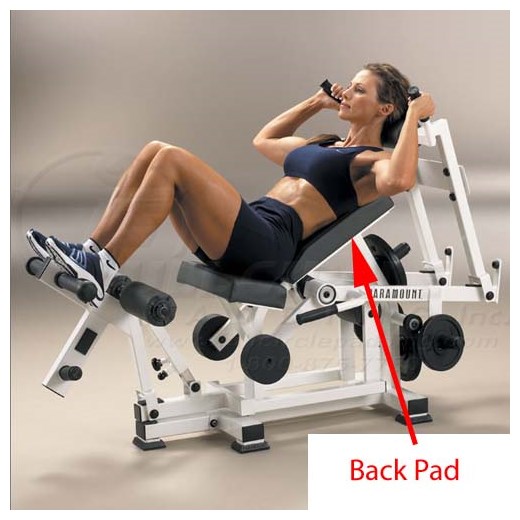 PFW9300TotalAbBack