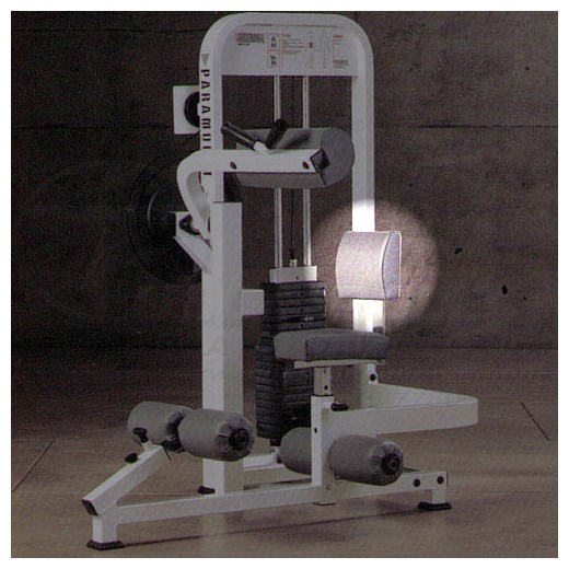 PL3200AbdominalPARA066